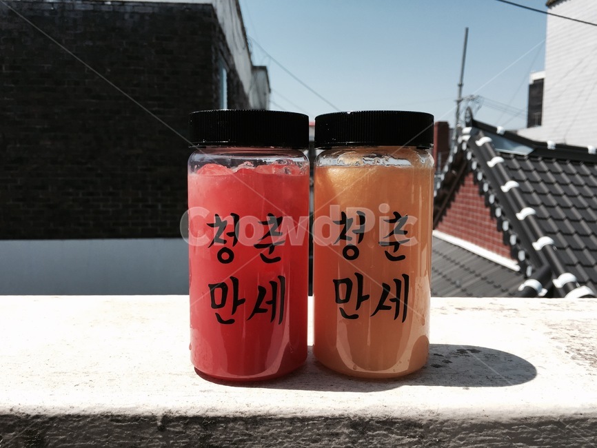 청춘,청춘만세,응원,청년,아이스음료,자몽에이드,오렌지에이드
