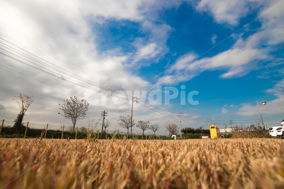 하늘,풍경,가을,잔디,autumn,sky,scenery,고요함,감성,가을,계절,fall,autumn,season,자연,풍경,nature,landscape