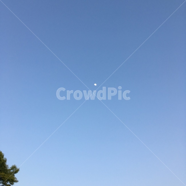 하늘,달,하늘색,저녁,moon