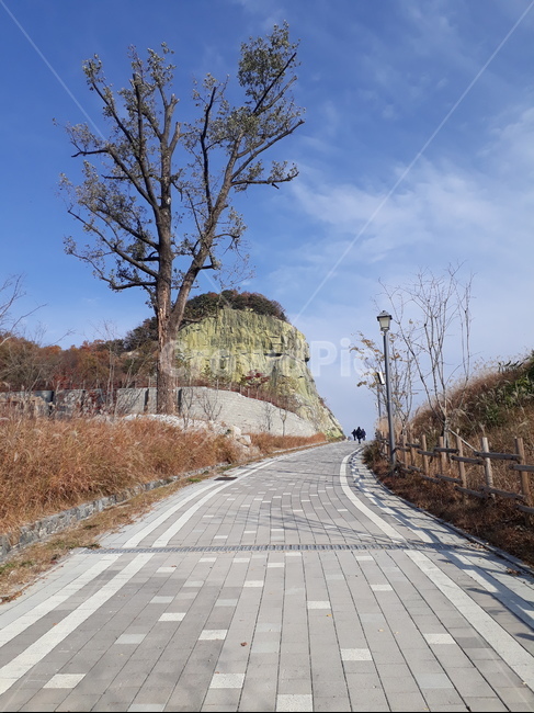 road,도로,tarmac,아스팔트,asphalt