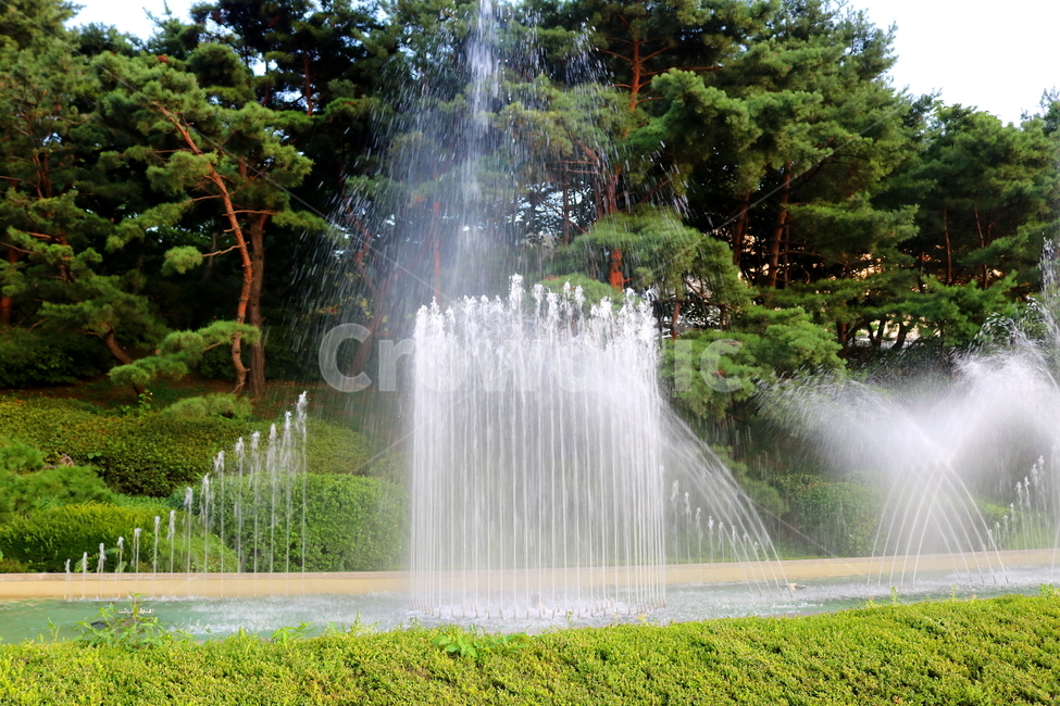 분수,분수대,물,공원,예술의전당,나무,소나무,자연,풍경,nature,landscape,water,fountain