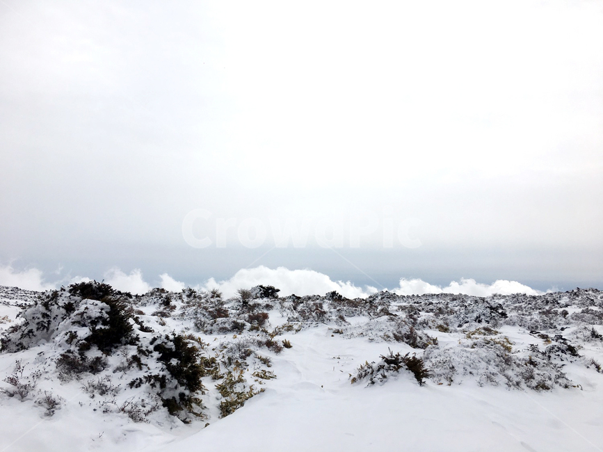 제주,윗새오름,겨울,눈,한라산,겨울,계절,winter,season