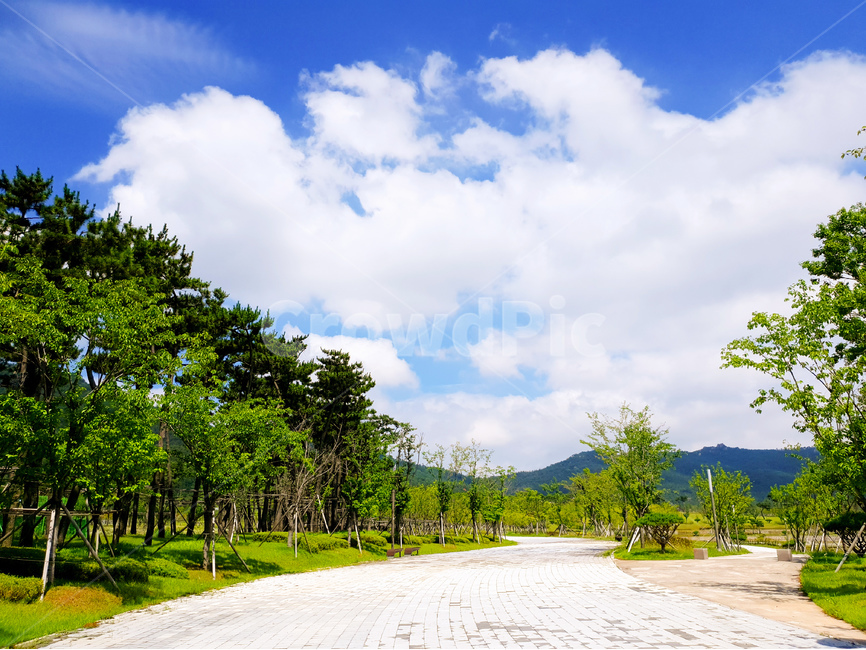 공원,하늘,구름,여름,풍경,자연,풍경,nature,landscape,summer