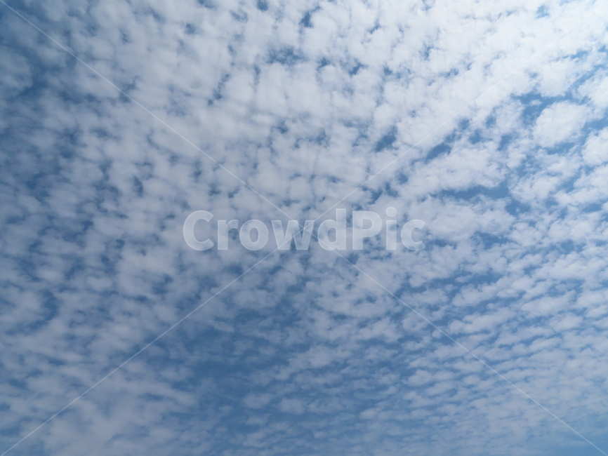 구름,하늘,자연,흰색,파랑색,아름다움,풍경,cloud,sky,white,blue,beauty,nature,scenery