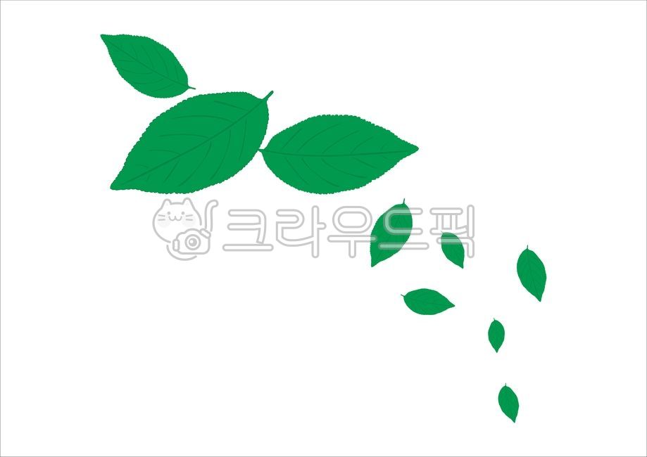 나뭇잎,자연,흩날림,바람,잎사귀,낙옆