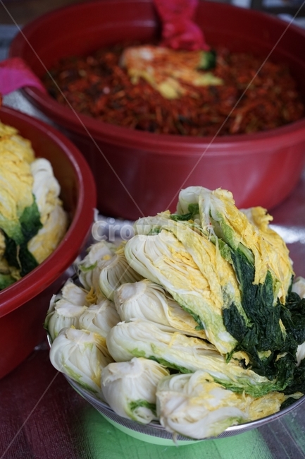 김치,김장,배추,절임배추,배추김치,한국음식,양념,절인배추,음식,식재료,요리,food,cook,meal,dishes,food reserves,채소,야채,vegetables