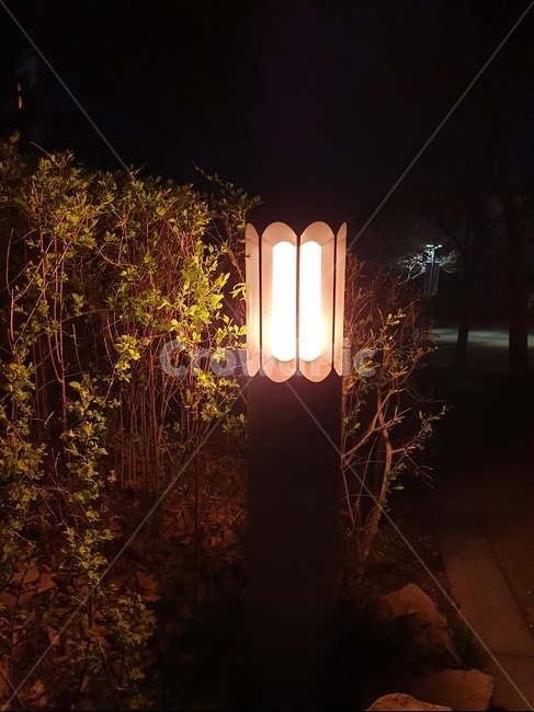 조명,밤,분위기,등불,수풀