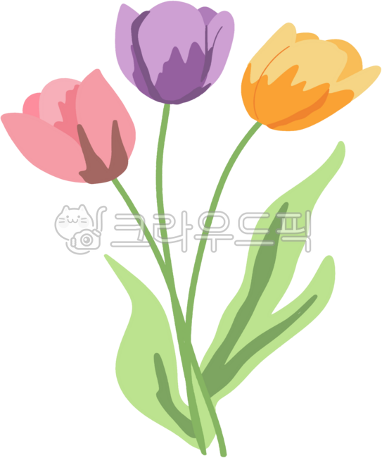 튤립,봄꽃,튤립꽃,튤립손그림,꽃,꽃종류,꽃손그림,화초,튤립축제,봄축제,봄꽃축제,봄튤립,꽃선물,튤립데코,플라워,꽃향기