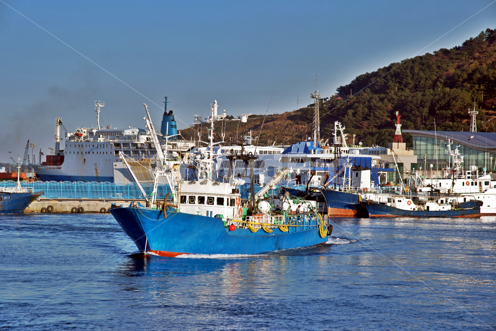 출항,제2부두,제주,사라봉,고깃배,바다,어선,산업,industry,industrial,어업,fishery,fishing industry