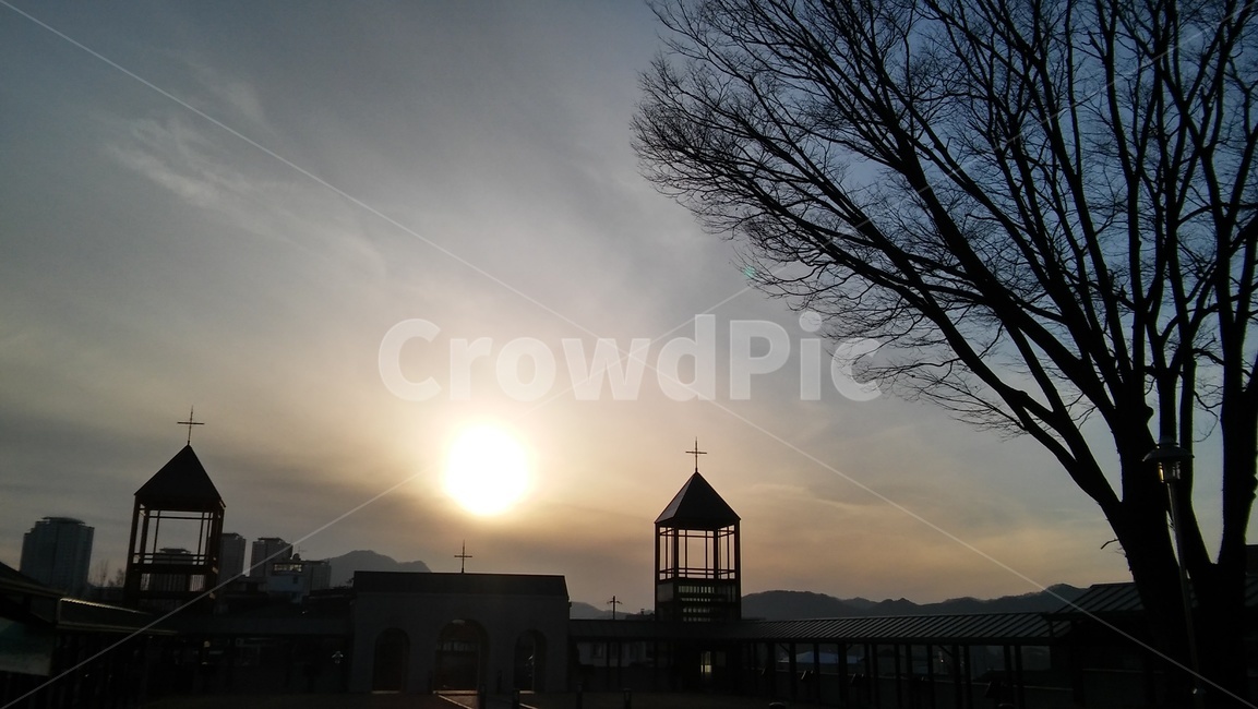 flare,light,햇빛,sunlight,저녁