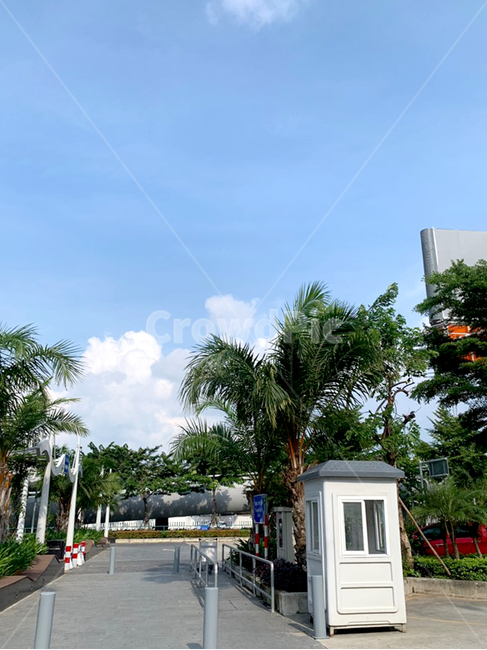 outdoors,옥외,garden,정원,arbour,정자,야자수,공항,하늘,구름,나무,화창,화창한날씨