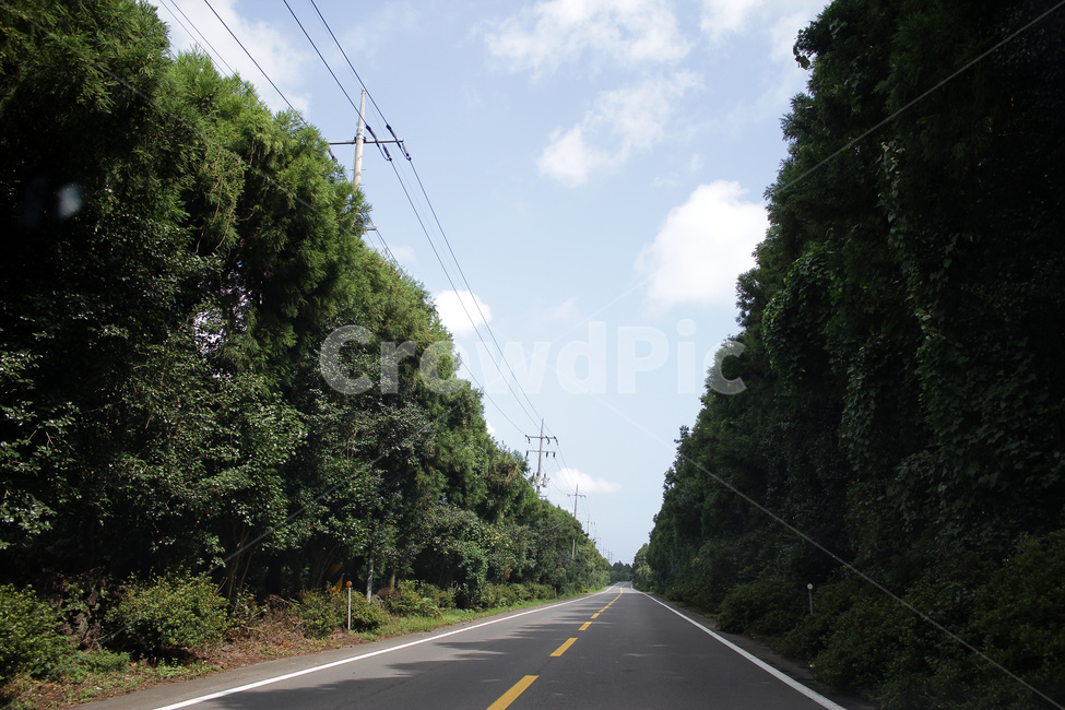 도로,road,아스팔트,제주도,제주