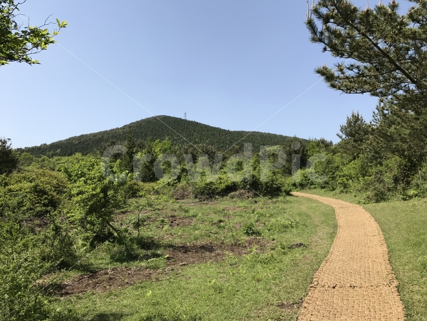 자연,감성,풍경,제주,원본,원본사진,무보정,자연,풍경,nature,landscape,outdoors,옥외,gravel,자갈,road,도로,dirt road,흙길