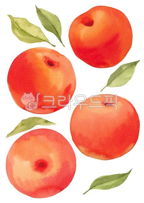 fruit,pattern,agriculture,apple,leaves,fall,farming,drawing,season,drawn,hand,seasons,nature,hand drawing,leaf,food,watercolor,painting,background,plant,illustration,autumn,hand drawn