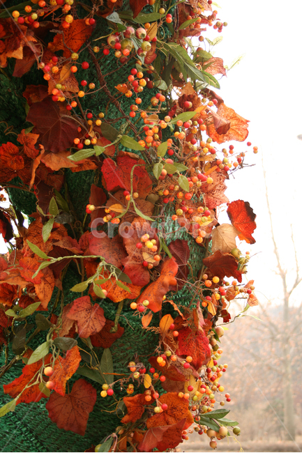겨울,트리,공원,식물,나무,크리스마스,식물,자연,plants,nature,메리크리스마스,성탄절,merry christmas,과일,열매,fruit