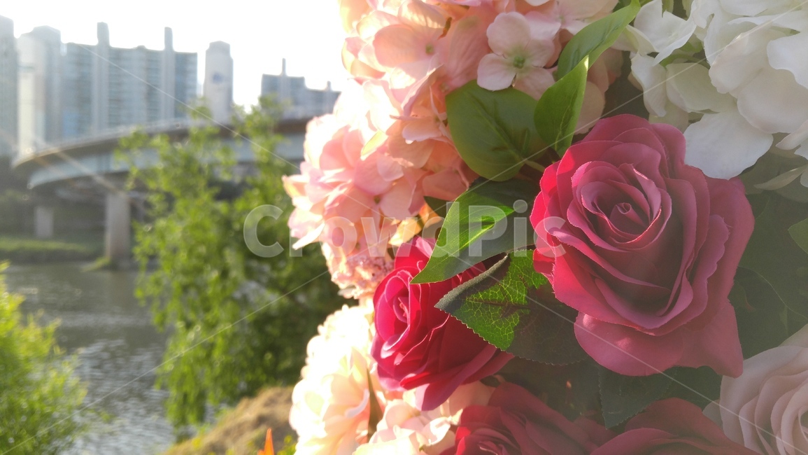 꽃,조화,장미,붉은색,녹색,연분홍,햇살,배경,감성,계절,flower,artificialflower,red,green,pink,sunbeam,background,emotional,season