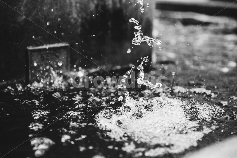 흑백사진,물,분수,물방울,낙수,비,비오는날,rain,rainy,흑백,모노톤,monochrome,black and white