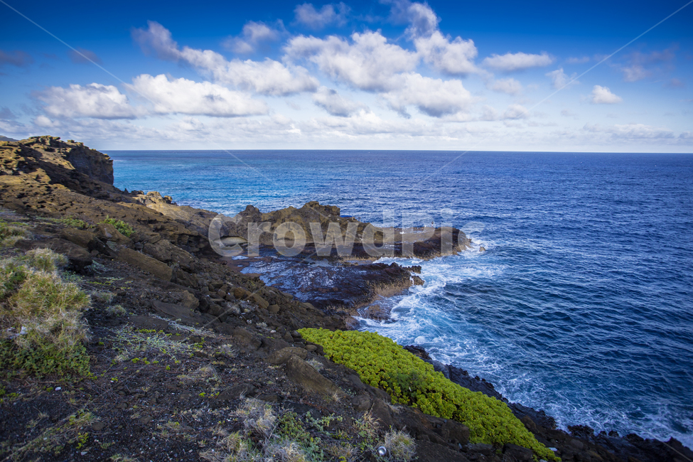 하와이,oahu,해변,바다,해암,자연,풍경,nature,landscape