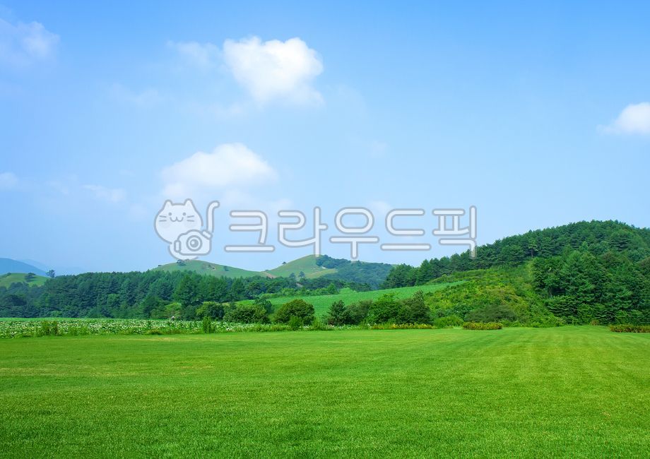 초원,평원,평지,들판,들,녹색,하늘,잔디,풍경,환경,자연보호,산,배경,자연,grassland,field,nature,landscape,scenery,background