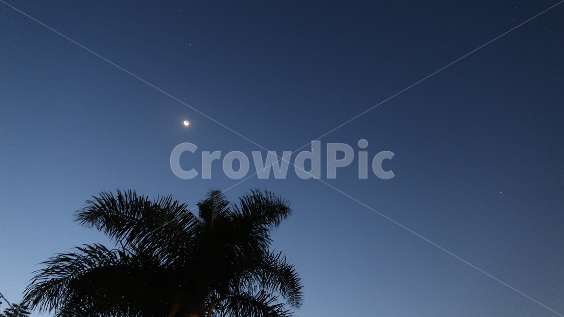 nature,자연,outdoors,달,moon,moonlight,야경,밤,풍경,nightscape,night,landscape