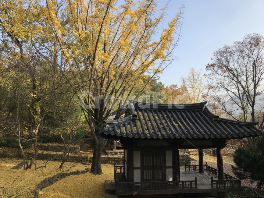가을,담양,소쇄원,식영정,풍경사진,landscape,출사,가을풍경,단풍,은행,감성,쓸쓸함,가을,계절,fall,autumn,season,한국전통,한국문화,korean traditional,korean culture,건축물,건물외관,exterior,building,structure,architecture,construction