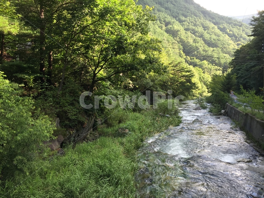 계곡,산,트래킹,valley,ravine,자연,nature,mountain,tracking,자연,풍경,nature,landscape,outdoors,옥외,water,물,stream,흐름,creek,작은 만