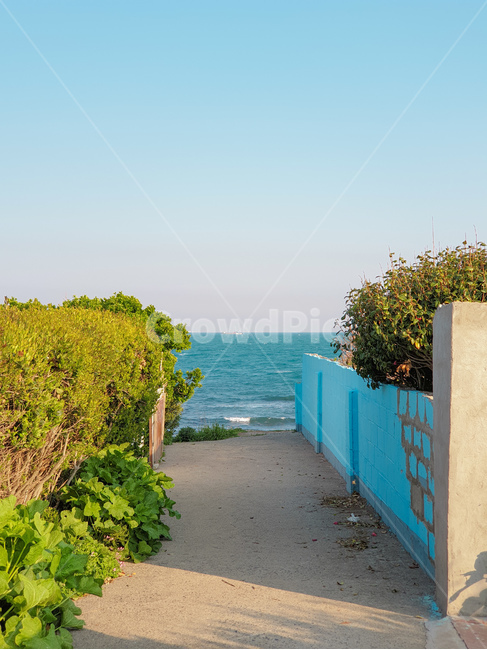 골목,담장,길,바다,마을,파랑,하늘,골목길,alley,outdoors,옥외,nature,자연