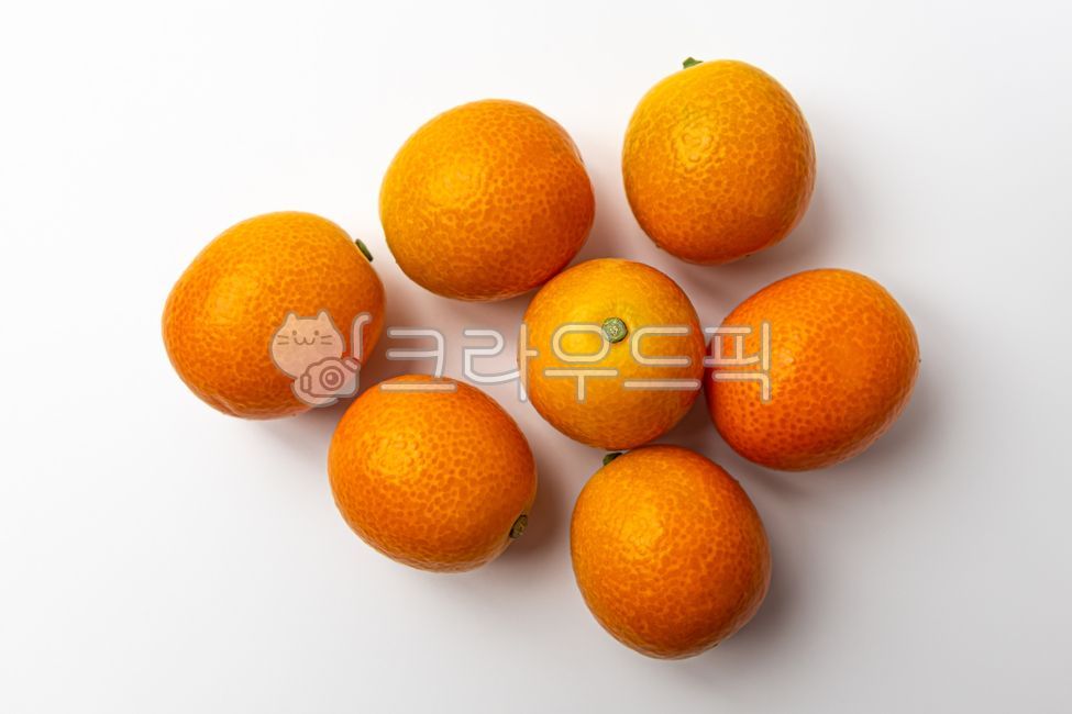 금귤,낑깡,귤,금감,감귤,과일,열매,채식,음식,식사,식품,식료품,재료,식재료,음식재료,클로즈업,작은,새콤한,달콤한,음식,식재료,요리,food,cook,meal,dishes,food reserves