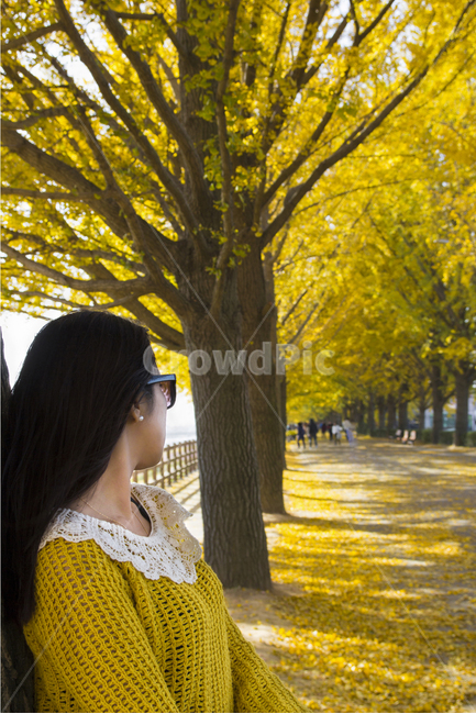 가을,여자,여인,은행나무,은행나무길,러브,하늘,선글라스,노랑,lady,women,감성사진,여행,힐링,공원,park,소녀,계절,season,사람,people,모델,나무,가을,계절,fall,autumn,season,사람,인물,인간,human,person,여성,여자,woman,female,lady