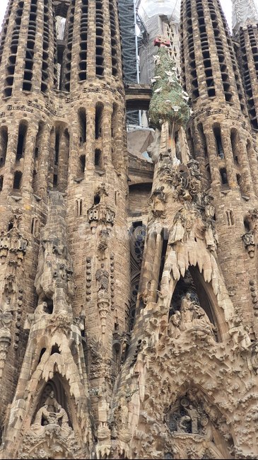 스페인,베르셀로나,사그라다,파밀리아,성당,가우디,spain,sagrada,familia,catholic,church,gaudy,barcelona