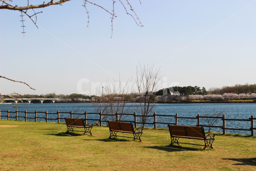일산호수공원,벤치,bench,grass,잔디,자연,호수,호수공원,공원,park,lakepark,휴식,자연,풍경,nature,landscape,plant,식물