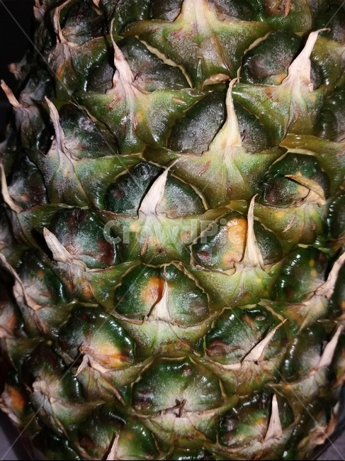 파인애플,pineapple,열대과일,비타민,과일,plant,식물