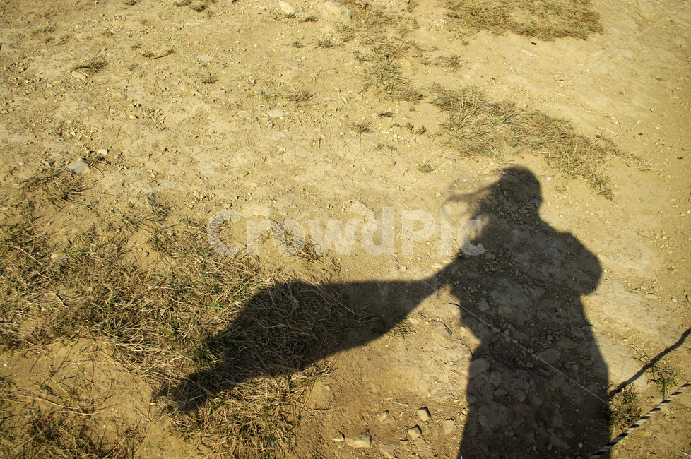 그림자,흙,땅,풀,잡초,ground,바닥,gravel,자갈,dirt road,흙길,road,도로