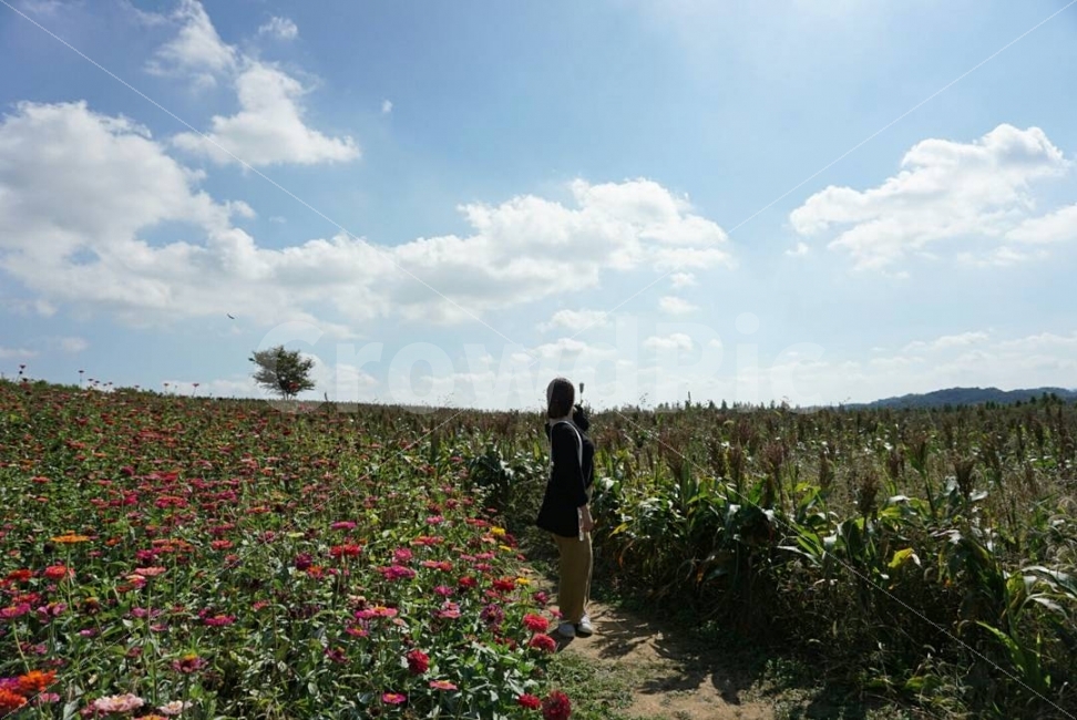 국내여행,가을감성사진,여행사진,당진,목장,목장사진,인스타,자연,풍경,nature,landscape,사람,인물,인간,human,person