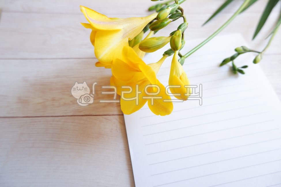 wooden table,Spring background,greeting,yellow,yellow flower,wood background,spring,spring flowers,Postcard,freesia flower,wood,woodentable,freesia,floral,green,flower,envelope,writing pad,plant,letter,card