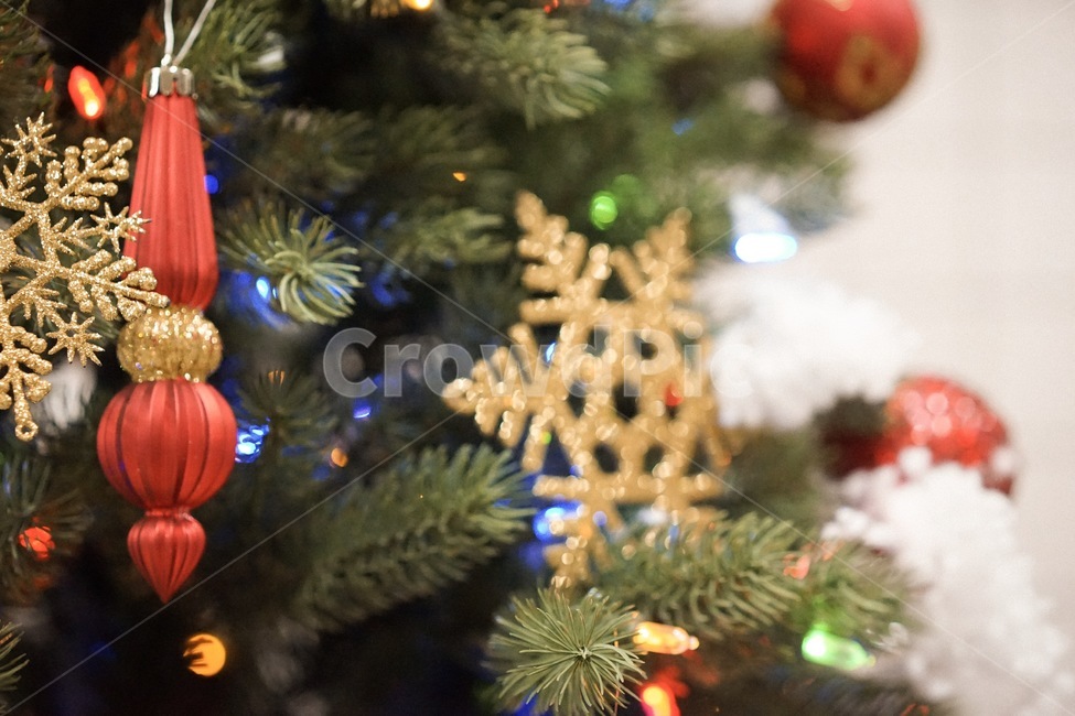 트리,크리스마스,겨울,tree,성탄절,겨울,계절,winter,season,메리크리스마스,성탄절,merry christmas