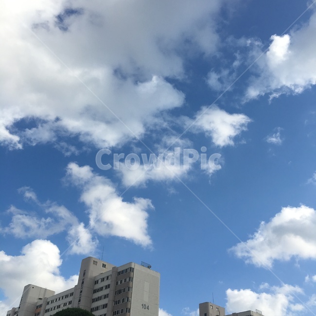 자연,nature,하늘,sky,구름,cloud