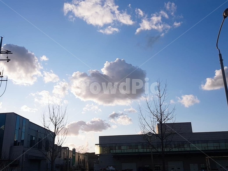 파란하늘,파란색,하트,하트구름,뭉게구름,날씨,자연,weather,nature,cumulus,적운,cloud,구름,sky,하늘,outdoors,옥외