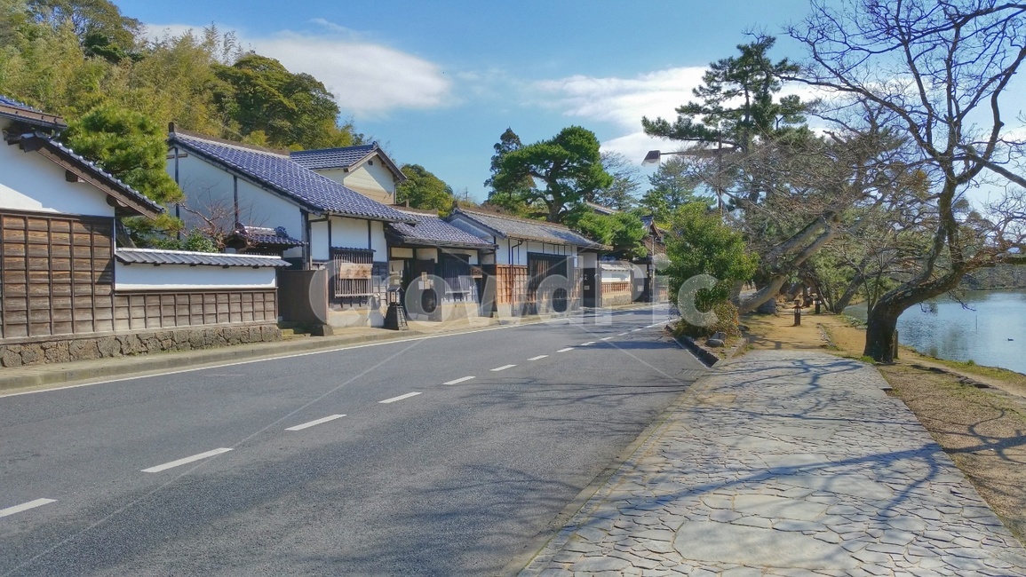 일본,나무,자연,봄,길거리,도시,풍경,city,landscape,해외,외국,세계,foreign,oversea,world,세계도시풍경,해외도시풍경,외국도시풍경,world cityscape,road,도로,asphalt,아스팔트