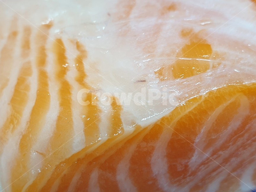연어,연어사시미,생선,회,연어회,생선회,사시미,salmon,salmonsushi,sushi,스티로품,styrofoam,사물,오브젝트,object,음식,food,seafood,시푸드,씨푸드,반찬,식자재,식재료,물고기,수산물,해산물,마블링,고기,음식,식재료,요리,food,cook,meal,dishes,food reserves