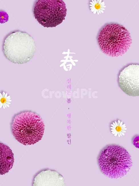 꽃,캘리,캘리그라피,손글씨,붓글씨,봄,프레임,이벤트,쇼핑,봄,계절,spring,season,꽃,flower,축제,행사,festival,carnival,event,쇼핑,shopping,그래픽,일러스트레이션,graphic,illustration,캘리그라피,손글씨,calligraphy