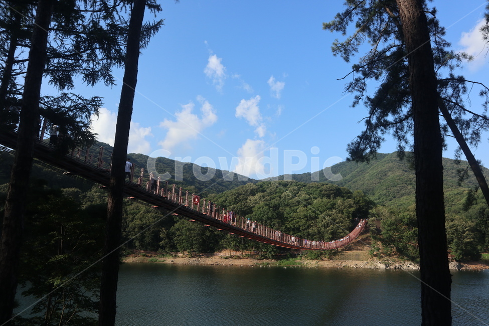 날씨,봄,풍경,자연,나무,강,바람,구름,물,bridge,다리,person,인간,human,사람