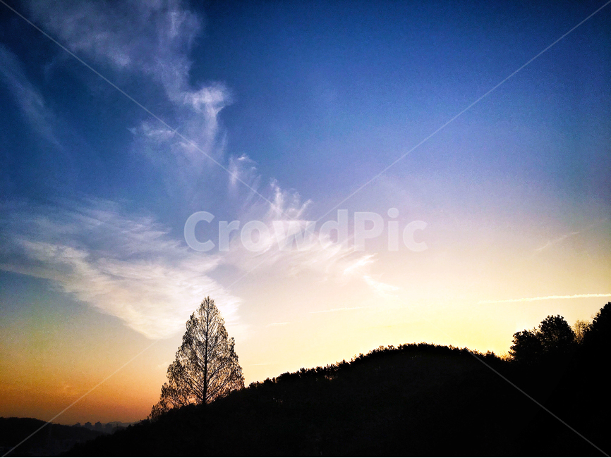 풍경,일출,하늘,구름,여명,자연,풍경,nature,landscape,실루엣,그림자,silhouette,shadow,outdoors,옥외
