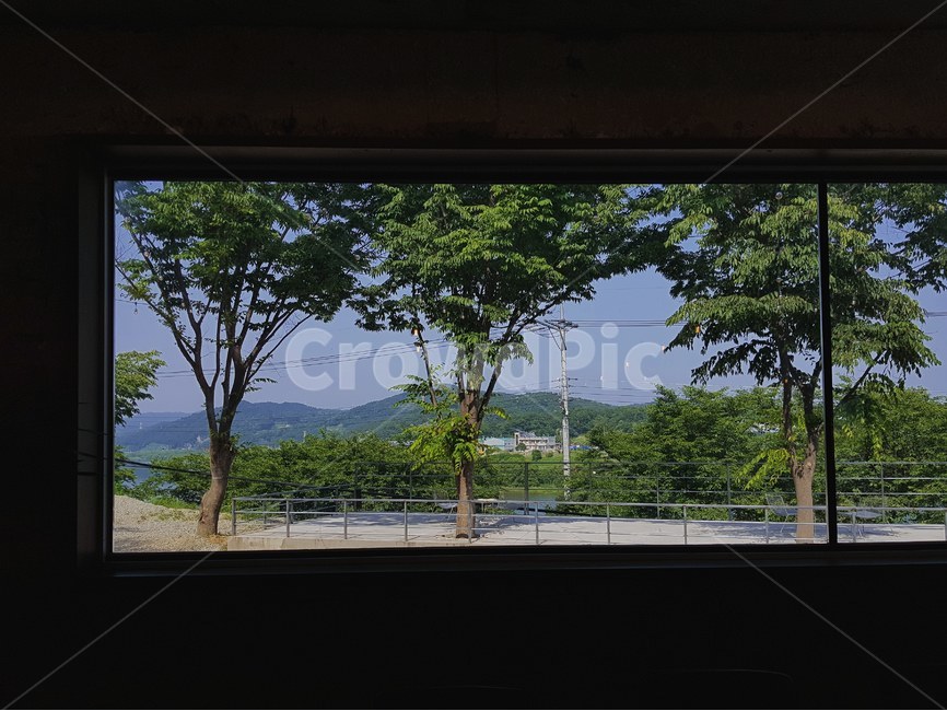 자연,나무,숲,하늘,구름,여유,휴식,green,감성,반사,빛,창문,여름,식물,자연,plants,nature,나무,trees,wood