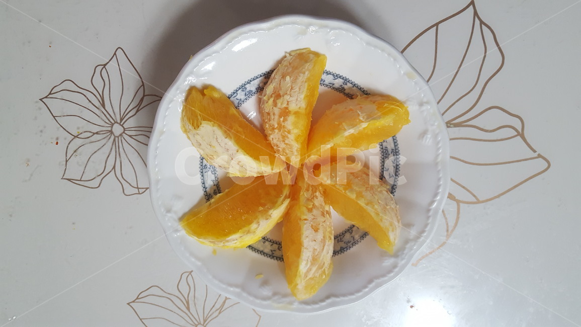 오렌지,요리,식탁,과일,여섯,6,과일,열매,fruit