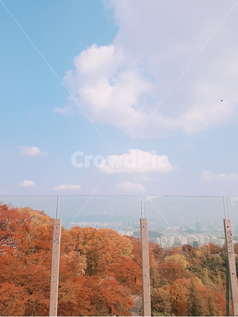 낙엽,가을,하늘,구름,나무,가을,계절,fall,autumn,season,자연,풍경,nature,landscape