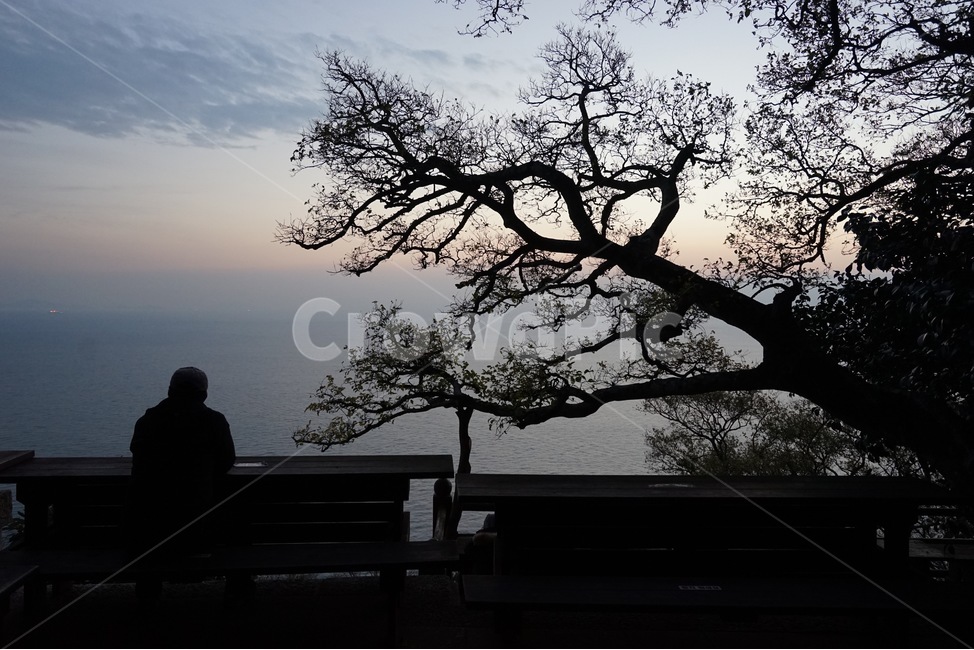 암자,향일암,겨울,기와,나무,바다,사찰,기도,tree,실루엣,silhouette,person,human,일출