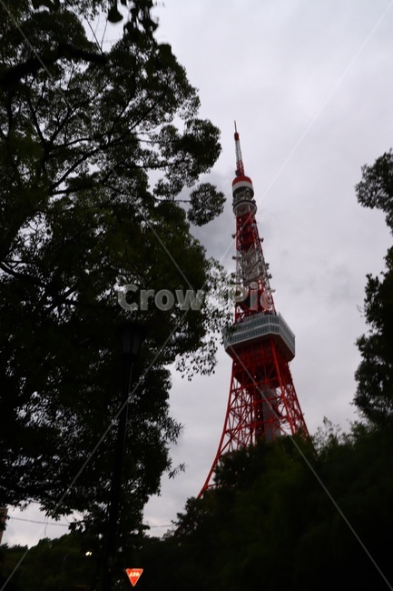건축물,건물,탑,뾰족한탑,tower,도쿄타워,landmark,랜드마크,일본,일본랜드마크,japan,도쿄,tokyo,랜드마크,landmark,tourist attraction,세계랜드마크,해외랜드마크,외국랜드마크,world landmark,world tourist attraction,architecture,building,spire,첨탑,steeple,뾰족한 탑