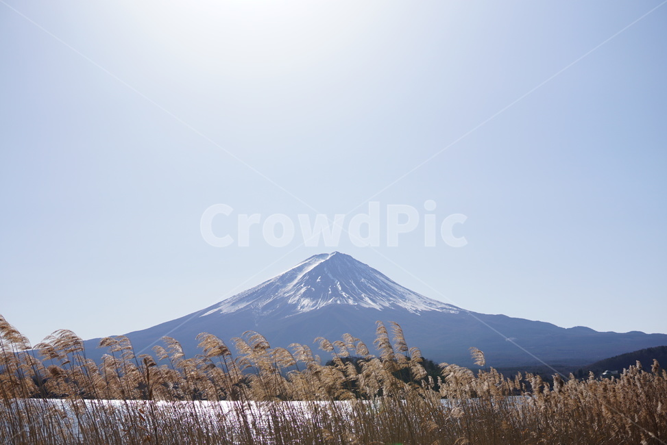 산,자연,갈대,풍경,화산,후지산,mountain,volcano,fuji,landscape,nature,가을,계절,fall,autumn,season,자연,풍경,nature,landscape,랜드마크,landmark,tourist attraction,해외,외국,세계,foreign,oversea,world,세계자연풍경,해외자연풍경,외국자연풍경,world nature landscape,세계랜드마크,해외랜드마크,외국랜드마크,world landmark,world tourist attraction,outdoors,옥외,mountain range,산맥