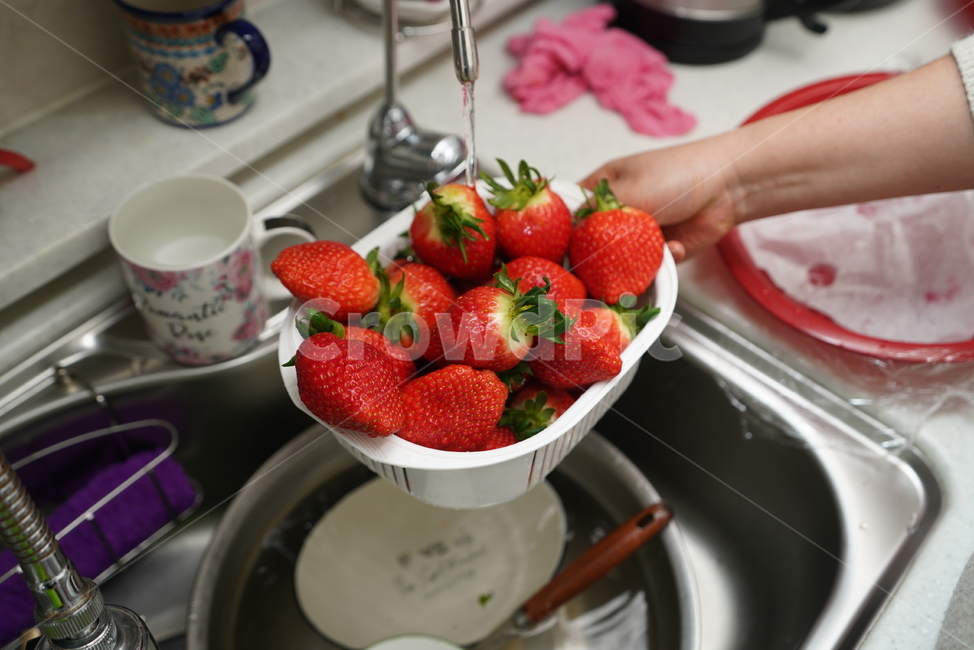 딸기,과일,디저트,먹거리,비타민,빨강,레드,red,색감,음식,strawberry,fruit